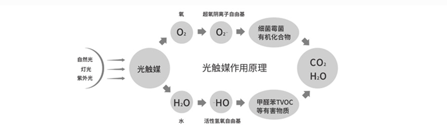 泸州甲醛治理(lǐ)品牌