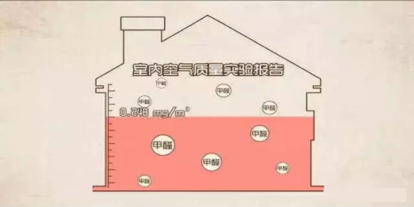 泸州除甲醛公司